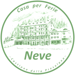 logo neve